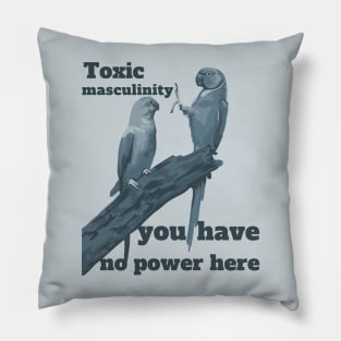 Toxic Masculinity You Have No Power Here Pillow