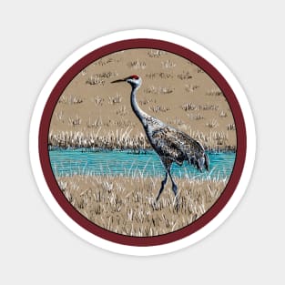 Sandhill Crane color ink drawing Magnet