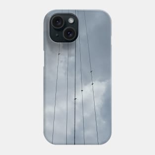 Birds on a wire Phone Case
