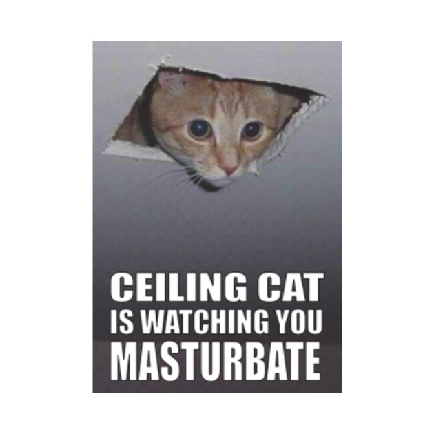 Ceiling Cat Ceiling Cat Is Watching You Memes Crewneck