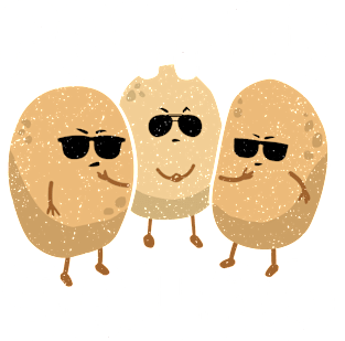 Potato Squad Shirt - Funny Potato Sunglasses Magnet