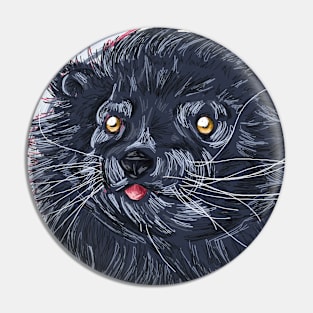 Blep-turong Pin