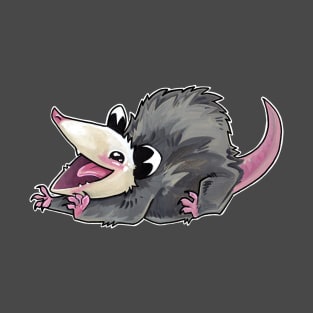 Happy possum T-Shirt