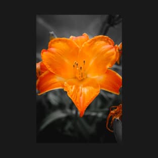 Orange Lily Flower Photograph T-Shirt