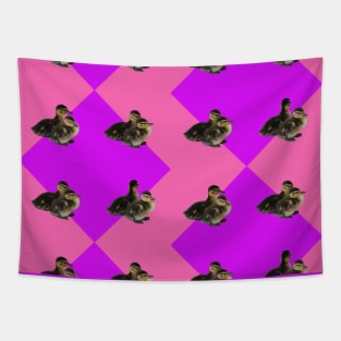 Baby Ducks on Pink Raspberry and Purple Sorbet Pattern Tapestry