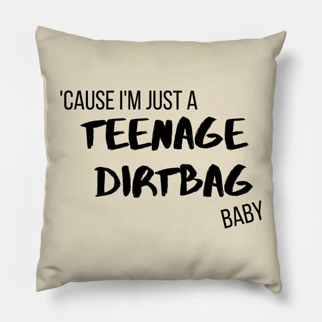 'Cause I'm Just A Teenage Dirtbag Baby Pillow by Life Happens Tee Shop