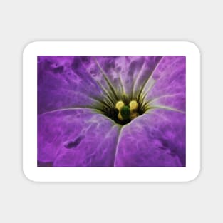 closeup macro photography of single bright purple glowing vivid floral fantasy with delicate and intricate gold coloured stamens Magnet