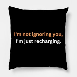 I'm not ignoring you, I'm just recharging. Pillow