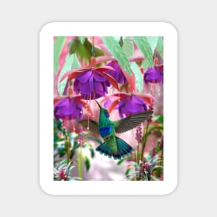 Hummingbird Magnet