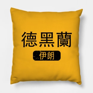 Tehran Iran in Chinese Pillow