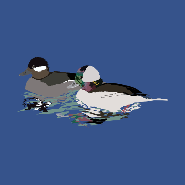 Bufflehead Ducks Pair by stargatedalek