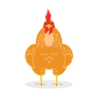 A Cute Chicken T-Shirt