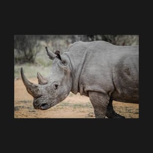 Rhino T-Shirt