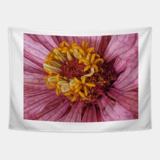 close-up of a single zinnia flower bloom in pink floral fantasy Tapestry