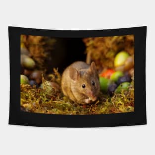 Wild  cute garden mouse Tapestry