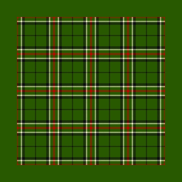 Green, Black, Red and White Tartan Pattern by sifis