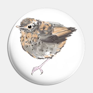 Robin Pin