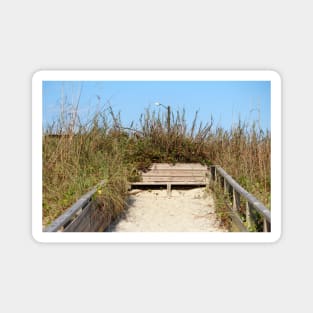 Beach Bench Magnet