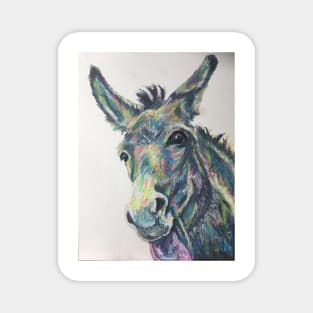 Cheeky scruffy colourful donkey Magnet