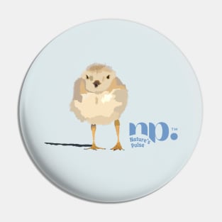 Piping Plover Pin