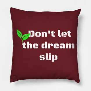 Don't let the dream slip Pillow