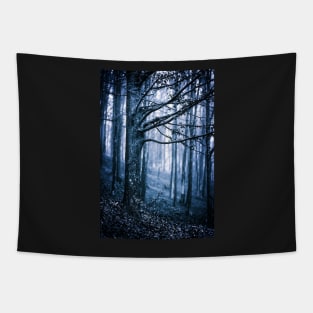 Scary forest at night Tapestry