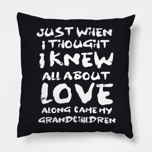 Just When I Thought I Knew All About Love Along Came My Grandchildern Daughter Pillow