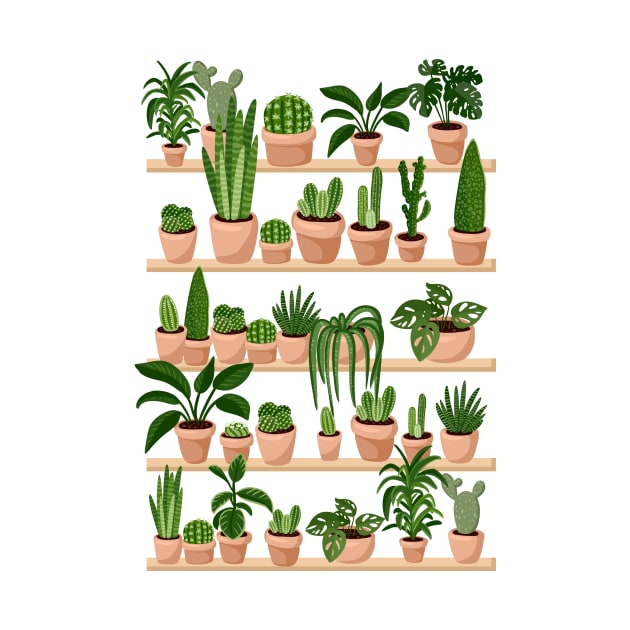 Succulents and Cacti Plants on Shelves Print by oixxoart