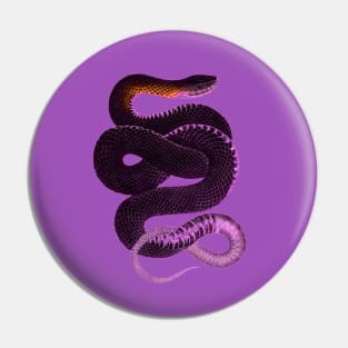 serpent,cobra,reptile,viper,venom,lizard,rattlesnake,king cobra,dragon,hydra,poison,venomous,plumber's snake,pythonidae,pythons,auger,python,squamata,serpentine,worm,big,ophidian,rattlesnakes,medusa,snakebite Pin