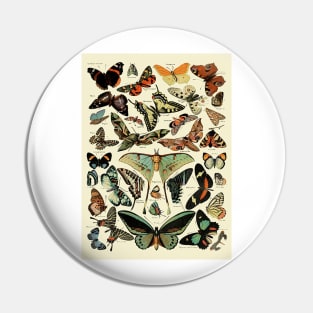 Retro Butterfly species Pin