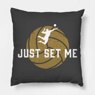 Just set me (Industrial) Pillow