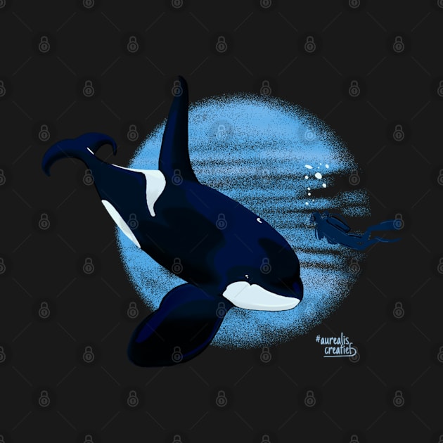 Brave Killer Whale and scuba diver by Aurealis