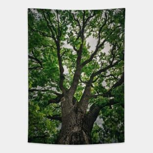 Oak Crown Tapestry