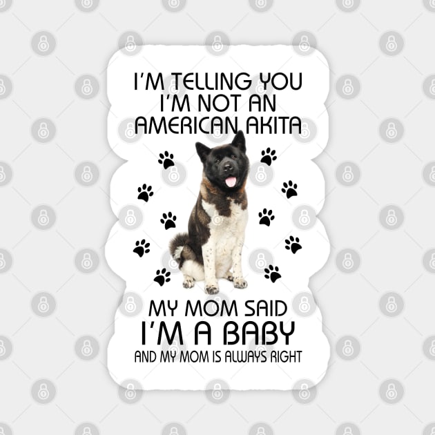 American Akita Baby Magnet by madyharrington02883