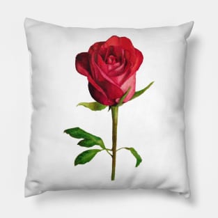 Red rose Pillow