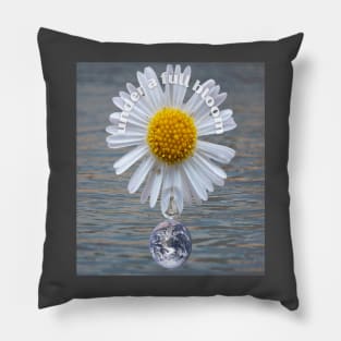 Under A Full Bloom Flower Photography Pillow