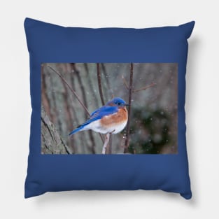 Eastern Bluebird Pillow