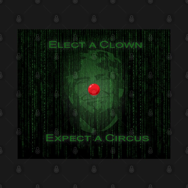 Elect a Clown Expect a Circus by ied