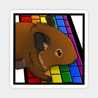 Rainbow Computer Degu Magnet