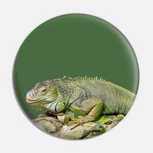 Green Iguana Pin