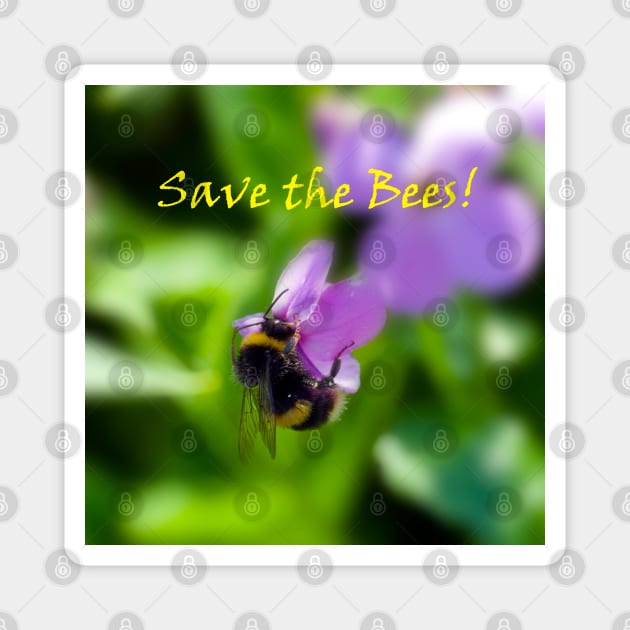 Bumblebee on a lilac flower Magnet by JeanKellyPhoto
