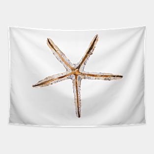 Blonde starfish Tapestry