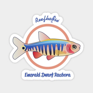 Emerald Dwarf Rasbora Magnet