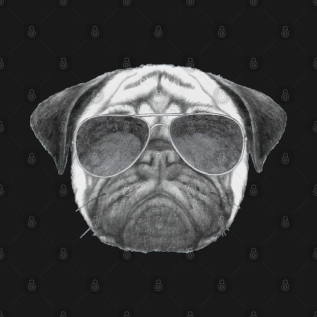 Cool Pug by The BioGeeks