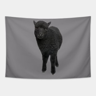 BLACK SHEEP Tapestry