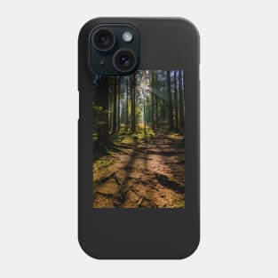 Black Forest near Baiersbronn, Germany Phone Case