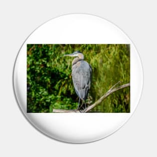 Great Blue Heron in the Trees Pin