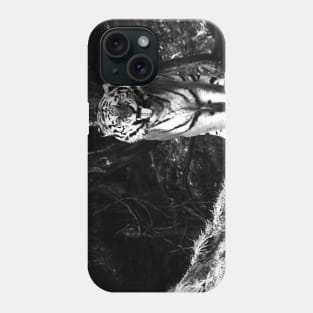 Year of the tiger 2022 /  Swiss Artwork Photography Phone Case