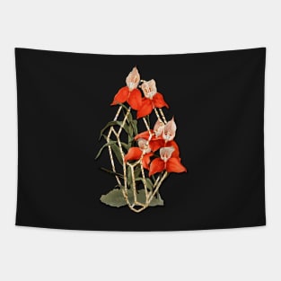 Orchid in Geometric Terrarium Tapestry