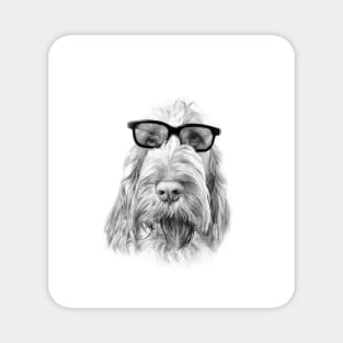 Intelligent friend Spinone by heidiannemorris Magnet